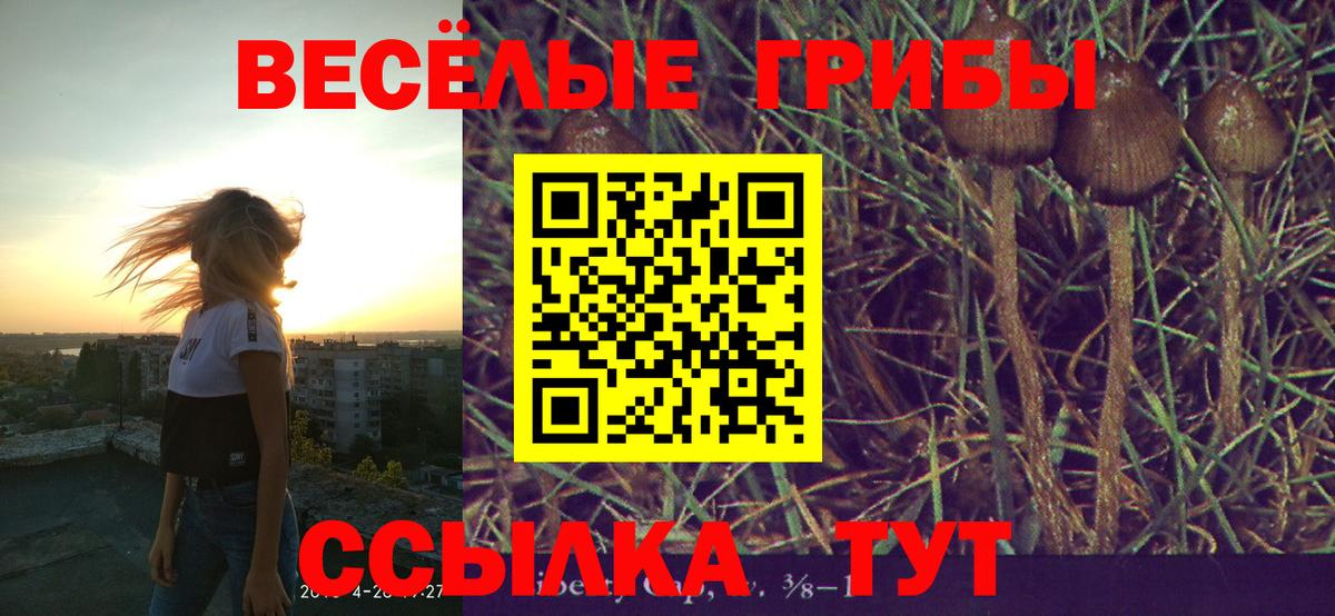 Псилоцибиновые грибы мухоморы Дедовск