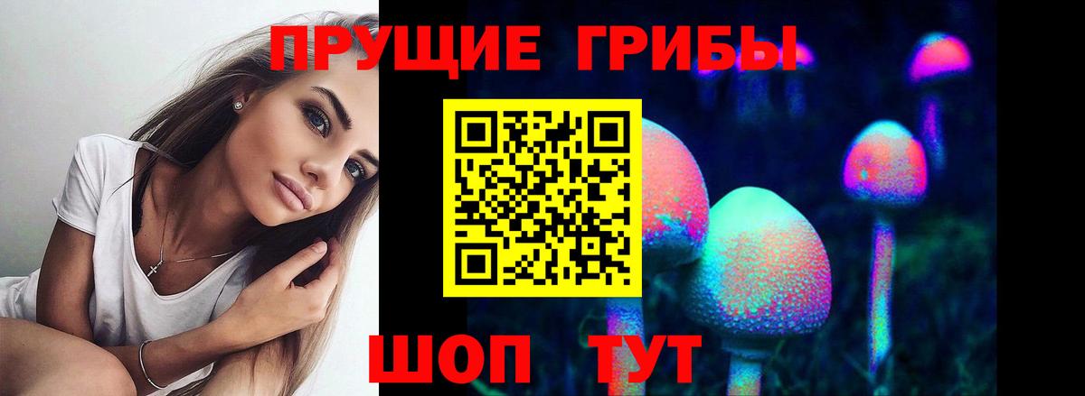 Дедовск  Галлюциногенные грибы MAGIC MUSHROOMS  Псилоцибиновые грибы GOLDEN TEACHER  Вход с VPN 